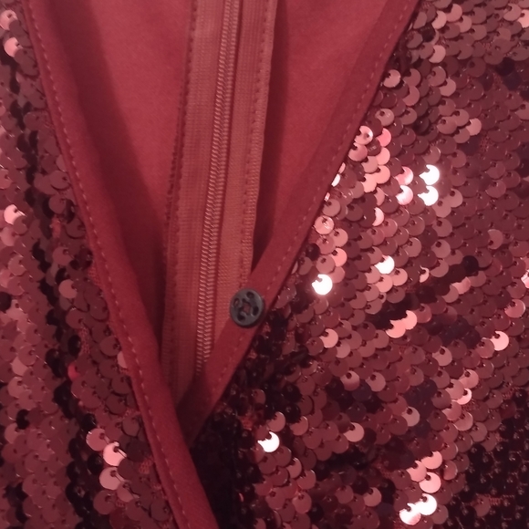 Sequin V-neck Jumpsuit - Picture 4 of 4